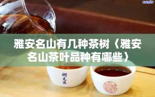 雅安茗茶品种全揭秘：种类、图片一网打尽