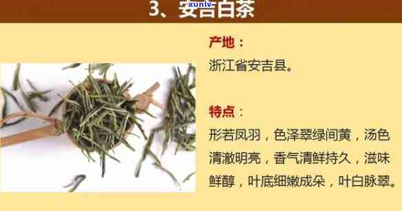 雅安茗茶品种全览：名称及图片一览无余