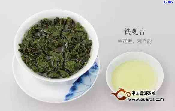 青茶品种有哪些品种名称，探秘青茶世界：了解常见的青茶品种名称