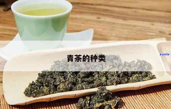 青茶品种有哪些品种名称，探秘青茶世界：了解常见的青茶品种名称