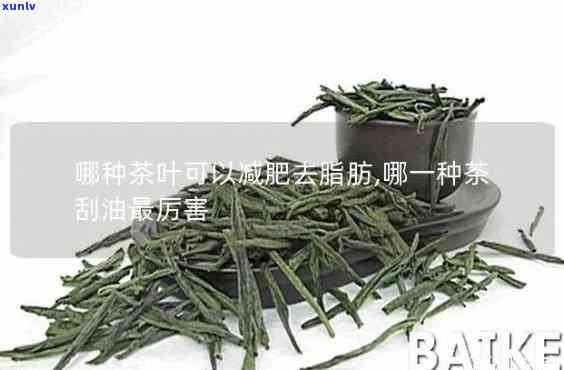 刮油的茶是什么茶?-刮油的茶是什么茶