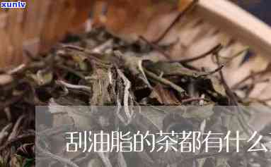 能刮油的茶是什么茶类？详解常见刮油茶品种及功效