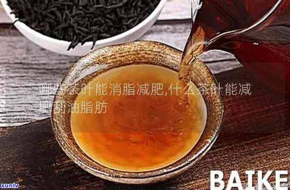 喝什么茶刮油脂减肥-喝什么茶刮油脂减肥