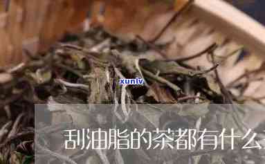 刮油喝什么茶最有效-刮油喝什么茶最有效配方