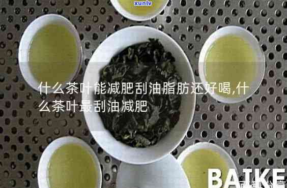 喝什么茶比较刮油脂-喝什么茶比较刮油脂呢