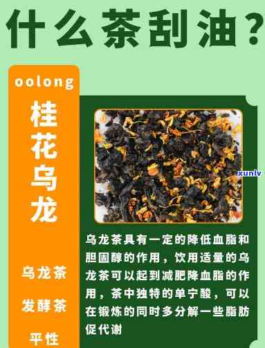 哪一种茶刮油最害乌龙茶，「揭秘」哪一种茶刮油最害？乌龙茶竟然是选择！