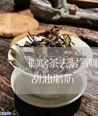 最刮油脂的茶去湿气-刮油祛湿喝什么茶最有效