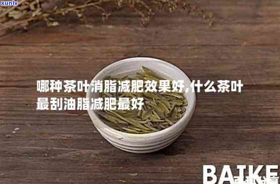 刮油减脂的茶有哪些牌子？推荐效果好的