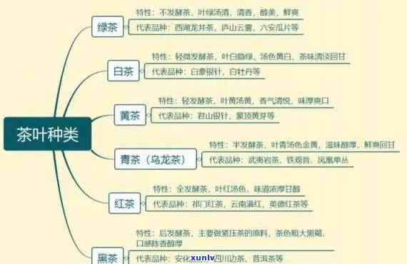 茶的养生功能种类及其作用全解析