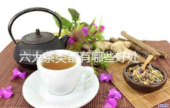 六大茶的特点和功效-六大茶的特点和功效 图片