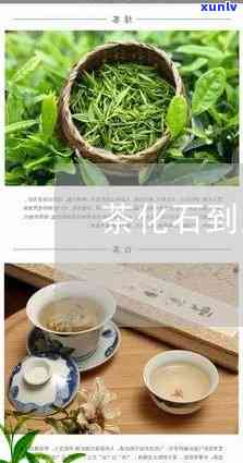 石化茶的功效与作用-石化茶的功效与作用图片