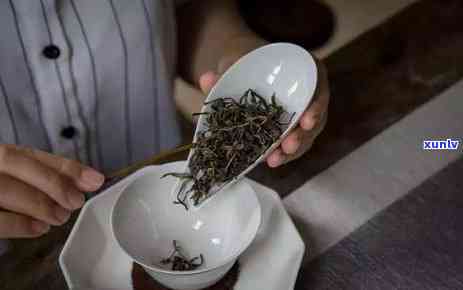 红茶的原材料是什么，揭秘红茶的原材料来源