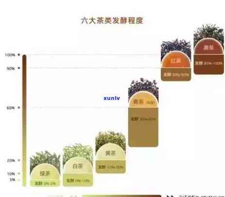 全面了解茶：知识、资料与图片大揭秘