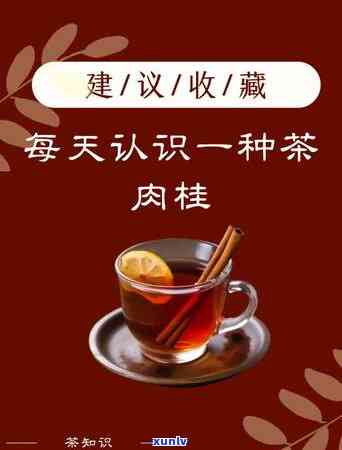 探究茶的世界：全面了解关于茶的有关知识