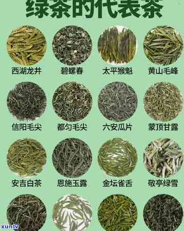 探究茶的世界：全面了解关于茶的有关知识