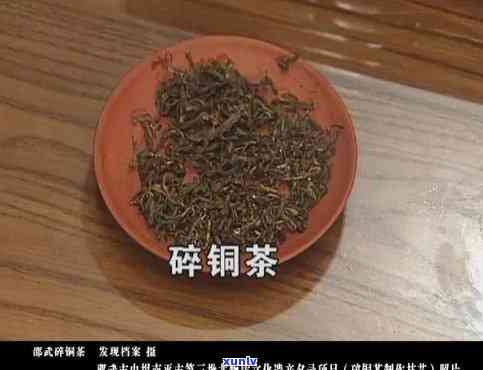 碎铜茶的功效、作用及禁忌全解析