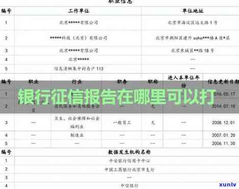 发银行报告，探究发银行报告的关键性与采用  