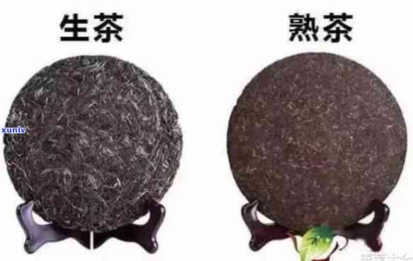 普洱生茶的冲泡 *** 与步骤：生茶、熟茶优劣对比及煮泡选择