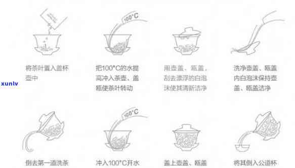 中国传统泡茶步骤详解：简笔画演示与图解