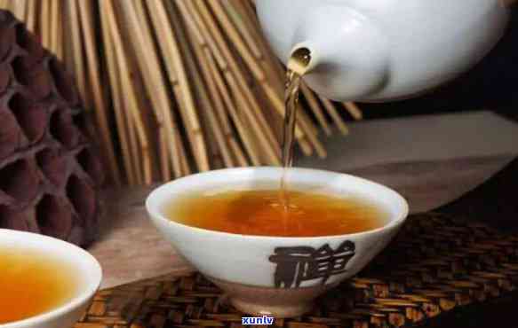 壶泡茶手法：详解泡茶步骤与技巧