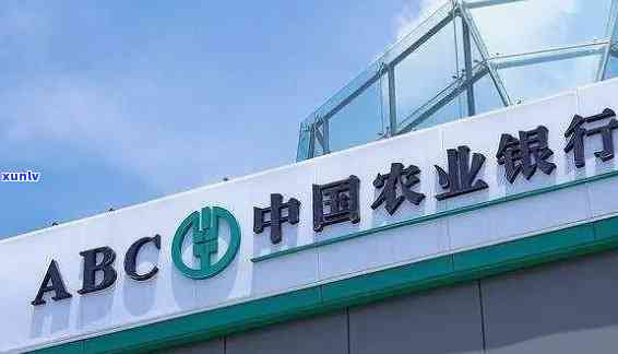 农业银行逾期2年会怎样，逾期两年：农业银行将采用哪些措？