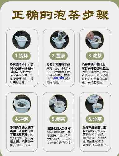 泡茶的5大步骤图片-泡茶的5大步骤图片