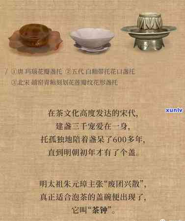 晚上喝茶的图片真实图片大全：高清女茶艺师泡茶瞬间