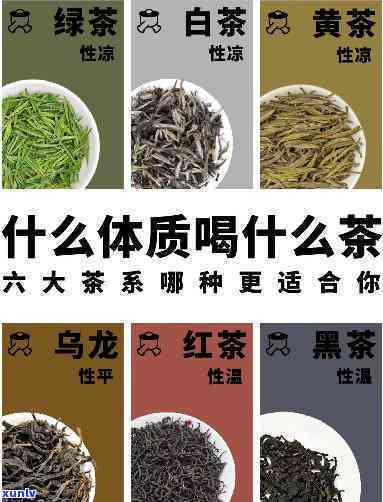 不同茶的功效与作用禁忌，全面解析：不同茶的功效、作用及使用禁忌