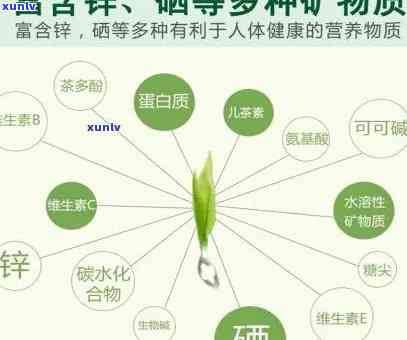 锌硒茶的功效与作用图片全解析：揭示其保健功能与营养成分