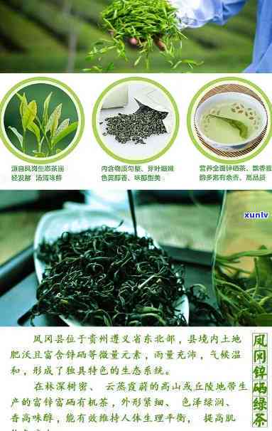 锌硒茶的功效与作用-凤冈锌硒茶的功效与作用