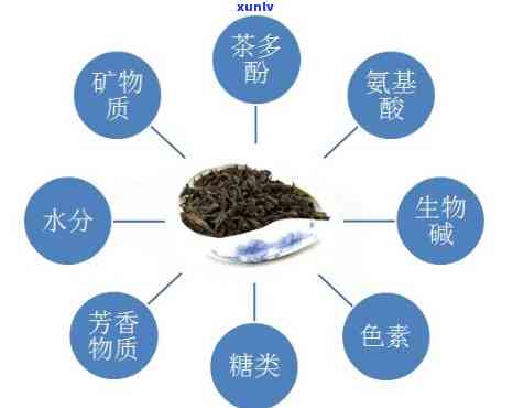 茶的内含物质及功效-茶的内含物质及功效与作用