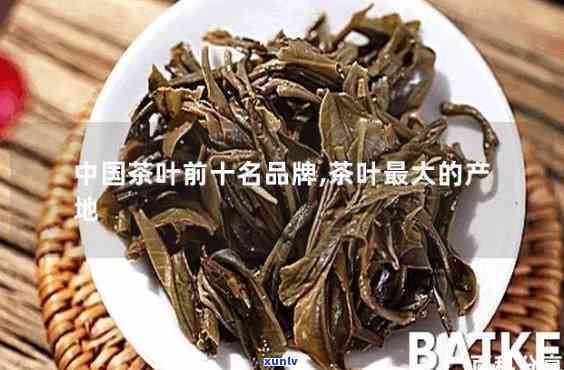 大叶茶的产地与特点详解：高清图片解析