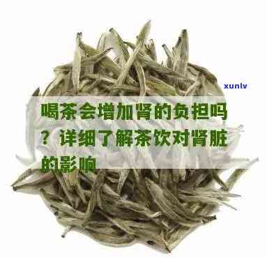 经常喝茶对肾有无影响？详细解析