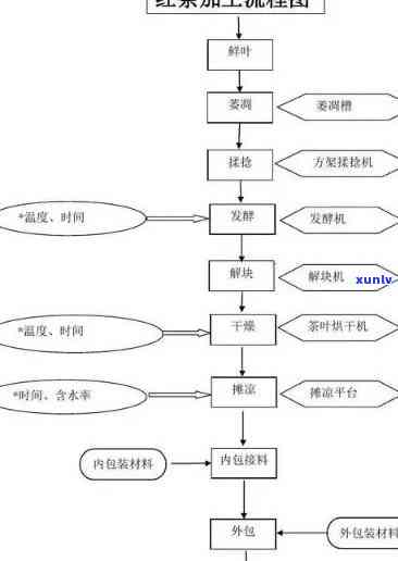 简述红茶的加工工艺及其技术要点，详解红茶的加工工艺与技术要点