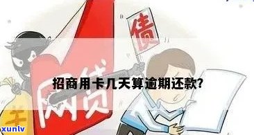 为什么信用卡逾期突然不催了：政策解读与原因分析