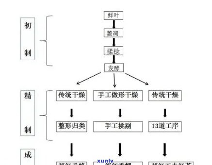 红茶加工工艺有哪三类，探析红茶加工工艺的三大类别