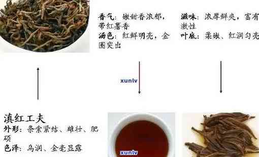 工夫红茶的加工工艺及其技术：了解、冲泡与品种