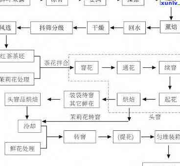 探究红茶基本加工工艺：种类与特点全解析