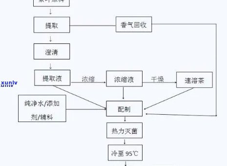 头春的茶叶与二春的有何区别？一文了解两者的不同之处