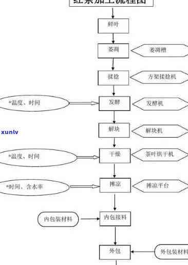 工夫红茶的初制工艺及其含义与特点是什么？