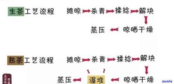 工夫红茶的初制工艺流程：详解图解