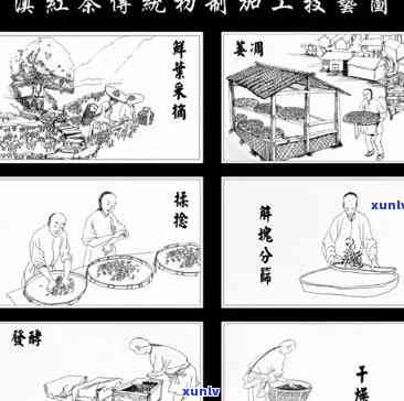 玫瑰红茶 *** 工艺全程解析：从选材到泡制的每一个步骤