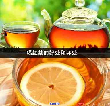 最新！1401勐海雀茶行情及评价