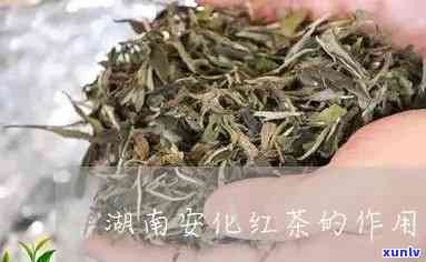 安红茶的功效与作用-安化红茶功效