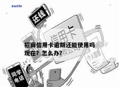 招商卡逾期还款后能否继续采用？解决方案在此！