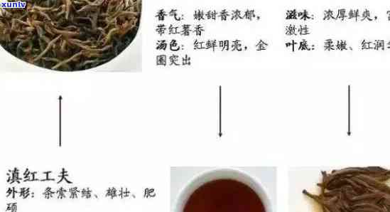 门红茶发展历：从起源到现代的全面概述