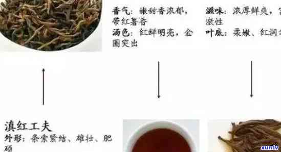 门红茶的历发展-门红茶的历发展过程