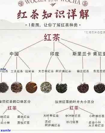 红茶的四个核心特征是，探究红茶的独特魅力：揭秘其四个核心特征