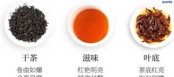 红茶的基本特征是什么？深入解析红茶的独特性质与特点