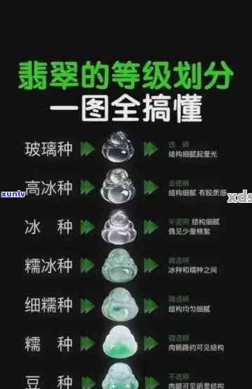 老班章生茶价格2008:年份差异与一览表